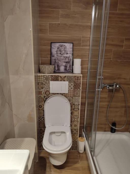 Apartment Golden Dream Pančevo
